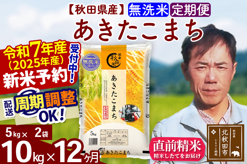 ※令和7年産 新米予約※《定期便12ヶ月》秋田県産 あきたこまち 10kg【無洗米】(5kg小分け袋) 2025年産 お届け周期調整可能 隔月に調整OK お米 みそらファーム