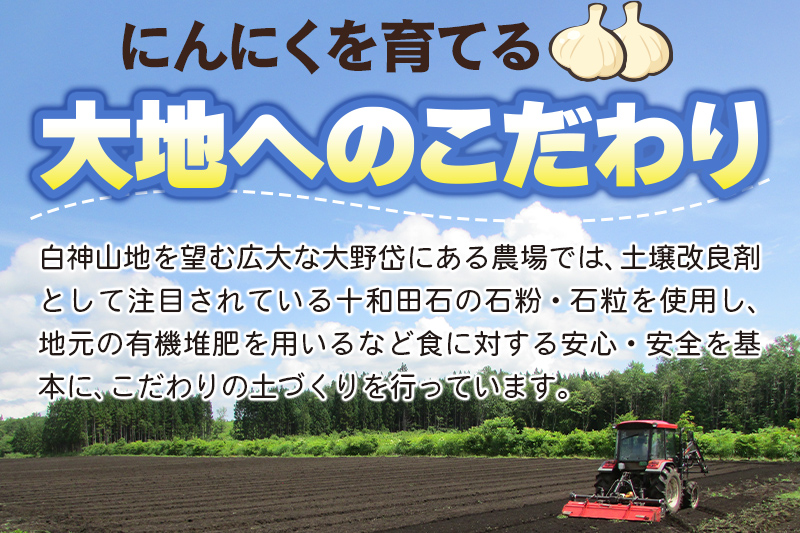 白神フルーツ黒にんにくセットＡ（Ｌ玉×3袋＆バラ粒 100g×1袋）秋田県産 熟成 小分け 詰合せ 詰め合わせ 健康 美容 黒ニンニク