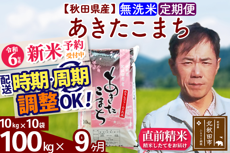 ※令和6年産 新米予約※《定期便9ヶ月》秋田県産 あきたこまち 100kg【無洗米】(10kg袋) 2024年産 お届け時期選べる お届け周期調整可能 隔月に調整OK お米 みそらファーム