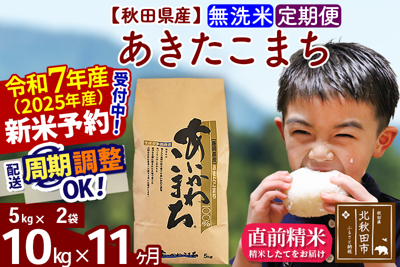 ※令和7年産 新米予約※《定期便11ヶ月》秋田県産 あきたこまち 10kg【無洗米】(5kg小分け袋) 2025年産 お届け周期調整可能 隔月に調整OK お米 藤岡農産