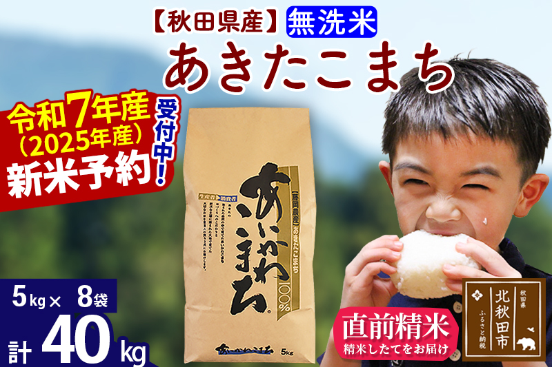 ※令和7年産 新米※秋田県産 あきたこまち 40kg【無洗米】(5kg小分け袋) 【1回のみお届け】2025年産 お届け時期選べる お米 藤岡農産