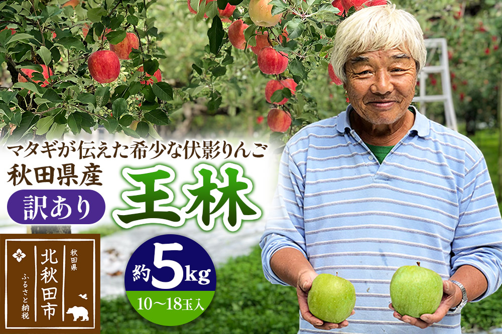 りんご 王林（訳あり）約5kg (10〜18玉入) 伊東さんの「伏影りんご」 令和7年産 秋田県産 個数限定 リンゴ マタギのりんご