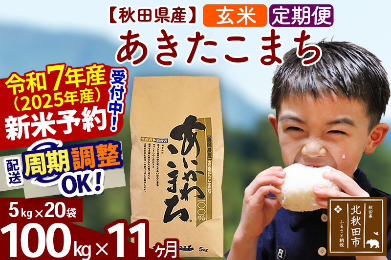 ※令和7年産 新米予約※《定期便11ヶ月》秋田県産 あきたこまち 100kg【玄米】(5kg小分け袋) 2025年産 お届け周期調整可能 隔月に調整OK お米 藤岡農産