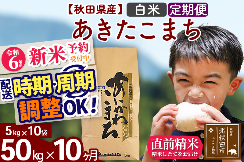 ※令和6年産 新米予約※《定期便10ヶ月》秋田県産 あきたこまち 50kg【白米】(5kg小分け袋) 2024年産 お届け時期選べる お届け周期調整可能 隔月に調整OK お米 藤岡農産