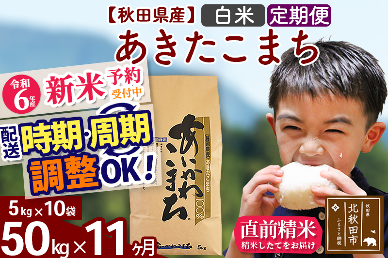 ※令和6年産 新米予約※《定期便11ヶ月》秋田県産 あきたこまち 50kg【白米】(5kg小分け袋) 2024年産 お届け時期選べる お届け周期調整可能 隔月に調整OK お米 藤岡農産