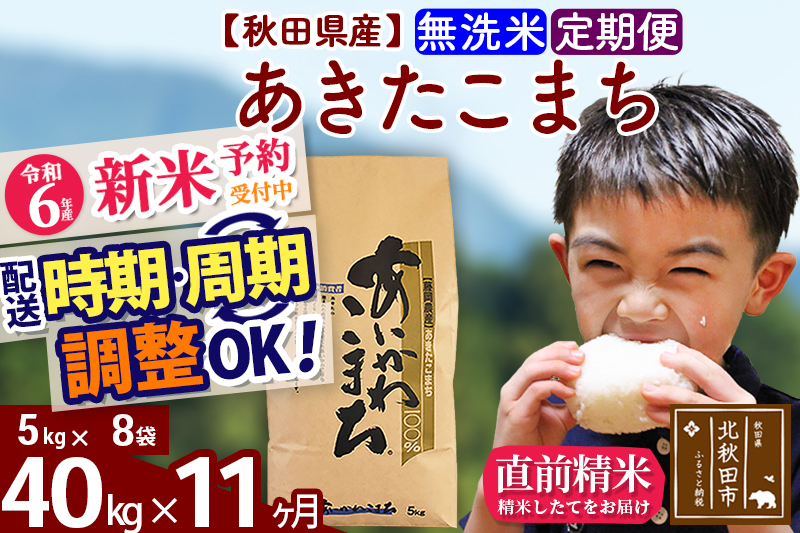 ※令和6年産 新米予約※《定期便11ヶ月》秋田県産 あきたこまち 40kg【無洗米】(5kg小分け袋) 2024年産 お届け時期選べる お届け周期調整可能 隔月に調整OK お米 藤岡農産