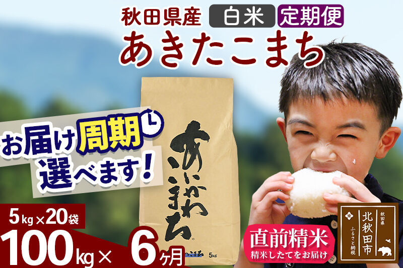 ※令和7年産※《定期便6ヶ月》秋田県産 あきたこまち 100kg【白米】(5kg小分け袋) 2025年産 お届け周期調整可能 隔月に調整OK お米 藤岡農産 [藤岡農産 秋田 お米 あきたこまち 米どころ 東北 北秋田市 定期便 毎月お届け]