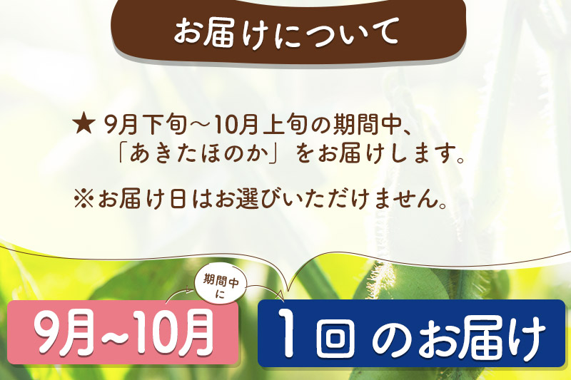 枝豆1kg (250g×4袋) 秋田のオリジナル品種あきたほのか 冷蔵 生でお