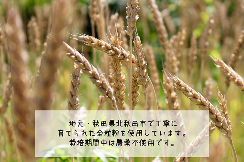 ãã€ã¹ã³ãŒã³ åœç£å°éºŠ å
šç²ç² 8å ã»ãã ïŒãããã±ããïŒ ããŒã«ãªãŒããã£ã