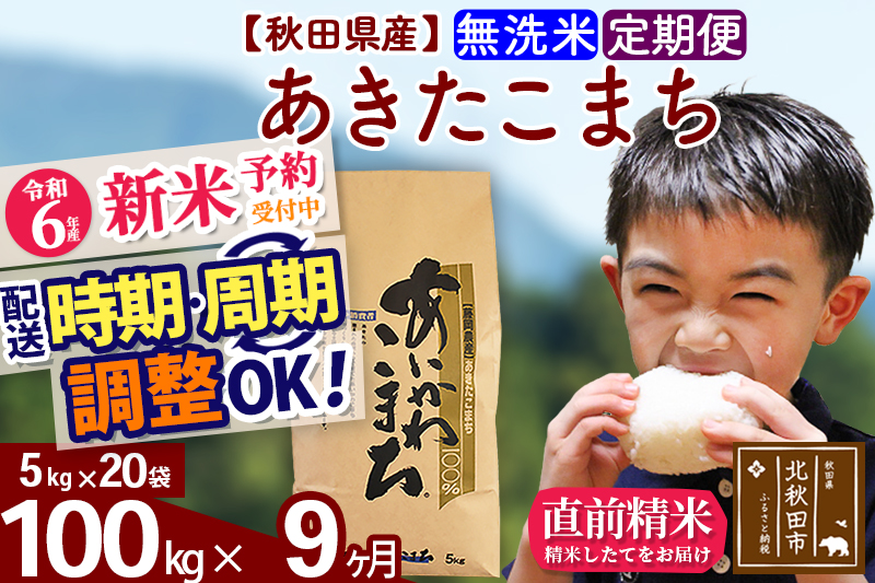 ※令和6年産 新米予約※《定期便9ヶ月》秋田県産 あきたこまち 100kg【無洗米】(5kg小分け袋) 2024年産 お届け時期選べる お届け周期調整可能 隔月に調整OK お米 藤岡農産