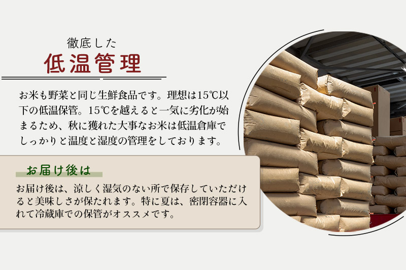 ※令和7年産 新米※《定期便8ヶ月》秋田県産 あきたこまち 30kg【玄米】(5kg小分け袋) 2025年産 お届け時期選べる お届け周期調整可能 隔月に調整OK お米 藤岡農産
