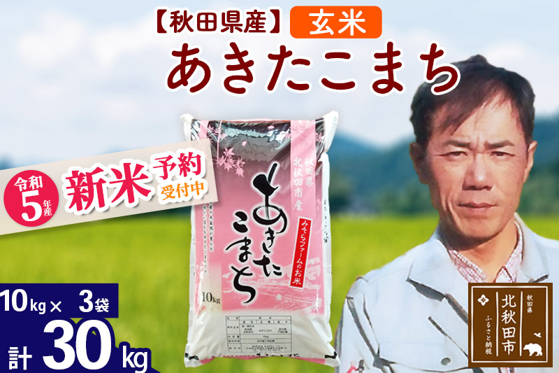 新米予約】秋田県産あきたこまち 30kg (10kg×3袋) (玄米) 令和5年産