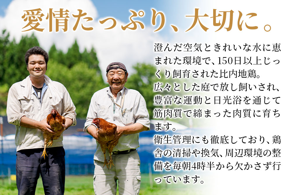 《定期便12ヶ月》 比内地鶏 ミンチ 4kg（1kg×4袋）×12回 計48kg 時期選べる お届け周期調整可能 12か月 12ヵ月 12カ月 12ケ月 48キロ 国産 冷凍 鶏肉 鳥肉 とり肉 ひき肉 挽肉