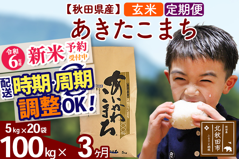 ※令和6年産 新米予約※《定期便3ヶ月》秋田県産 あきたこまち 100kg【玄米】(5kg小分け袋) 2024年産 お届け時期選べる お届け周期調整可能 隔月に調整OK お米 藤岡農産