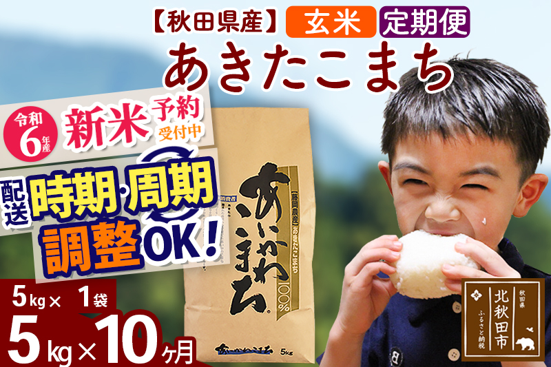 ※令和6年産 新米予約※《定期便10ヶ月》秋田県産 あきたこまち 5kg【玄米】(5kg小分け袋) 2024年産 お届け時期選べる お届け周期調整可能 隔月に調整OK お米 藤岡農産