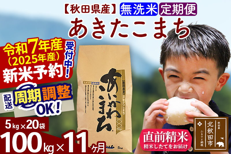 ※令和7年産 新米予約※《定期便11ヶ月》秋田県産 あきたこまち 100kg【無洗米】(5kg小分け袋) 2025年産 お届け周期調整可能 隔月に調整OK お米 藤岡農産