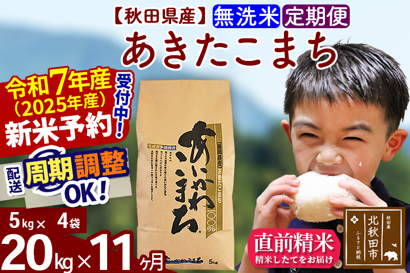 ※令和7年産 新米予約※《定期便11ヶ月》秋田県産 あきたこまち 20kg【無洗米】(5kg小分け袋) 2025年産 お届け周期調整可能 隔月に調整OK お米 藤岡農産