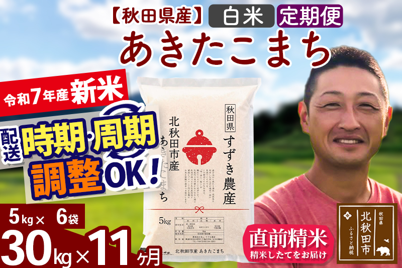 ※令和7年産 新米※《定期便11ヶ月》秋田県産 あきたこまち 30kg【白米】(5kg小分け袋) 2025年産 お届け時期選べる お届け周期調整可能 隔月に調整OK お米 すずき農産