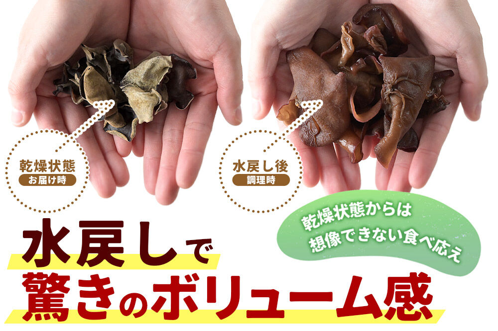 国産 乾燥きくらげ 150g 天日干し 秋田県北秋田市産 [きくらげ 木耳 キクラゲ 乾燥 手のひらサイズ 秋田県 北秋田市]