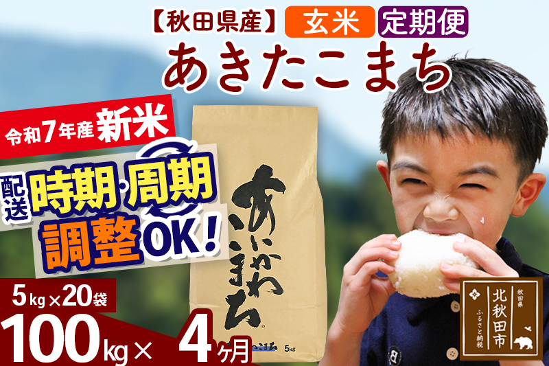 ※令和7年産 新米※《定期便4ヶ月》秋田県産 あきたこまち 100kg【玄米】(5kg小分け袋) 2025年産 お届け時期選べる お届け周期調整可能 隔月に調整OK お米 藤岡農産