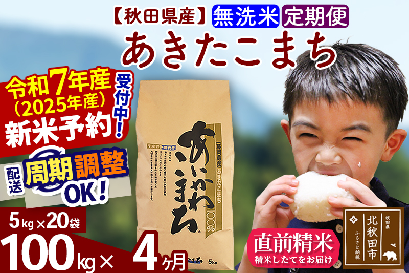※令和7年産 新米※《定期便4ヶ月》秋田県産 あきたこまち 100kg【無洗米】(5kg小分け袋) 2025年産 お届け時期選べる お届け周期調整可能 隔月に調整OK お米 藤岡農産