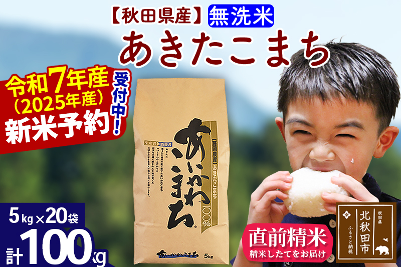 ※令和7年産 新米※秋田県産 あきたこまち 100kg【無洗米】(5kg小分け袋) 【1回のみお届け】2025年産 お届け時期選べる お米 藤岡農産