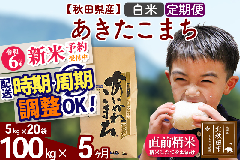 ※令和6年産 新米予約※《定期便5ヶ月》秋田県産 あきたこまち 100kg【白米】(5kg小分け袋) 2024年産 お届け時期選べる お届け周期調整可能 隔月に調整OK お米 藤岡農産