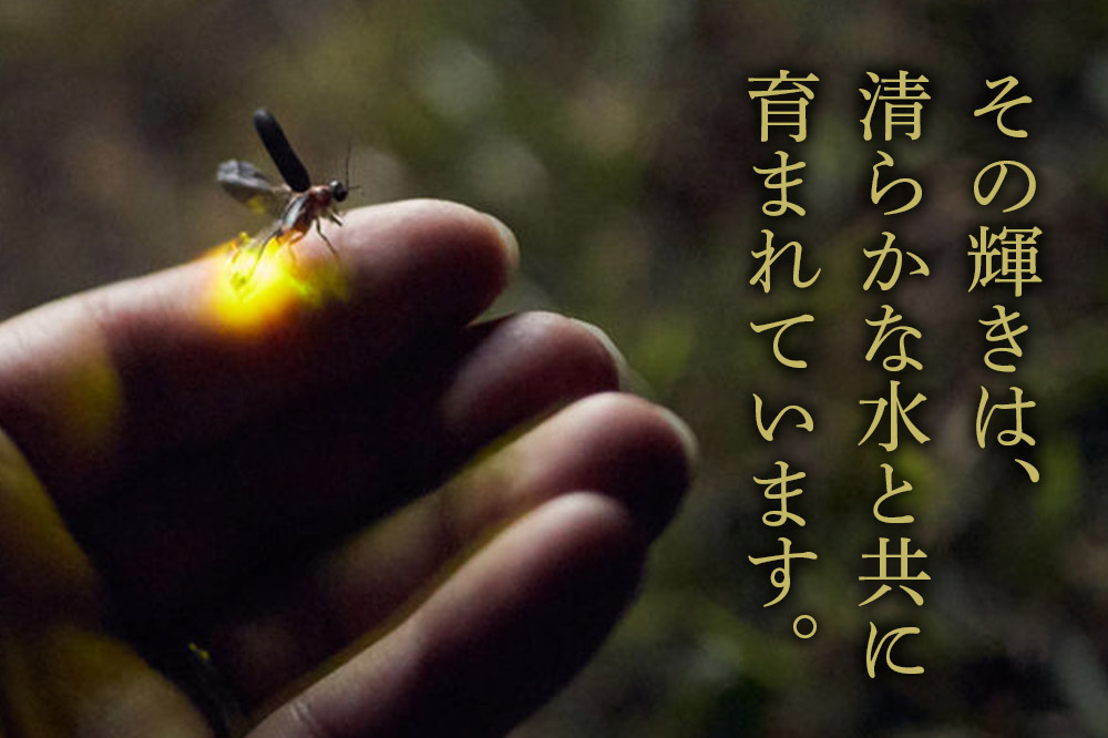 ほたる 宿泊 森のテラス ほたる鑑賞付 宿泊プラン 森吉