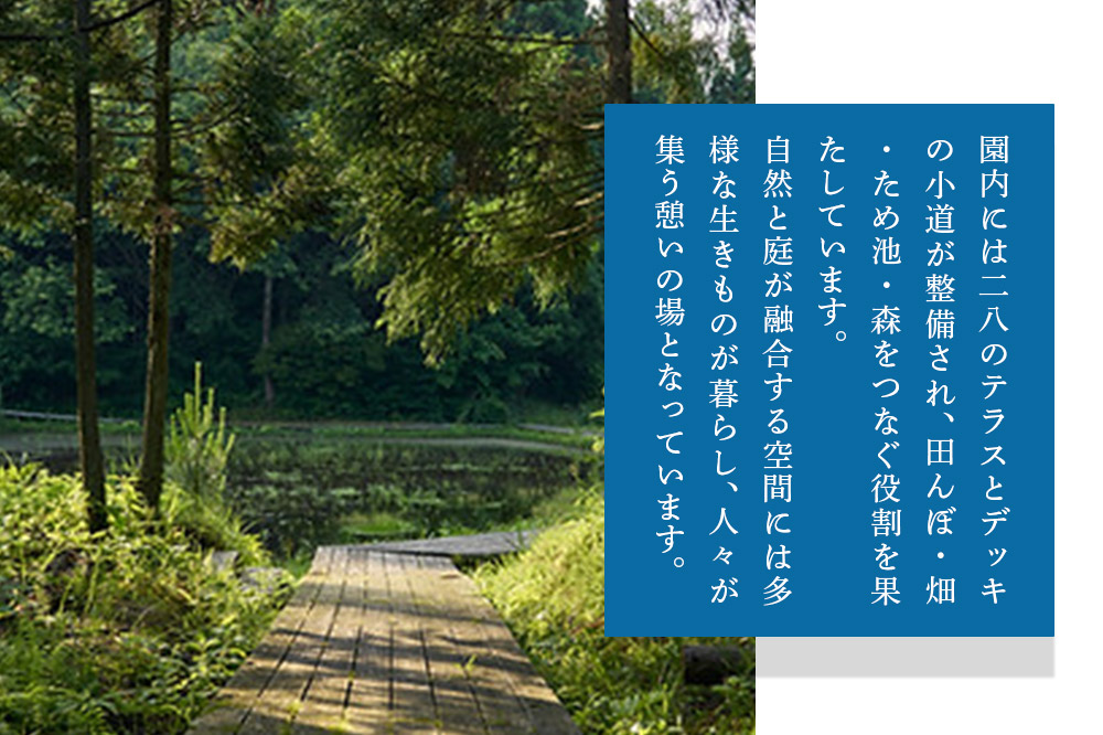 宿泊 森のテラス 宿泊プラン（かわせみ） 森吉