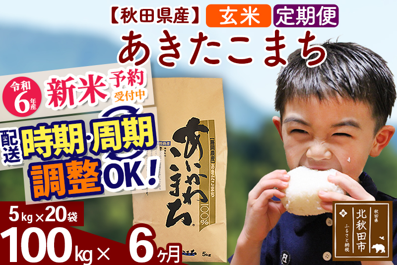 ※令和6年産 新米予約※《定期便6ヶ月》秋田県産 あきたこまち 100kg【玄米】(5kg小分け袋) 2024年産 お届け時期選べる お届け周期調整可能 隔月に調整OK お米 藤岡農産