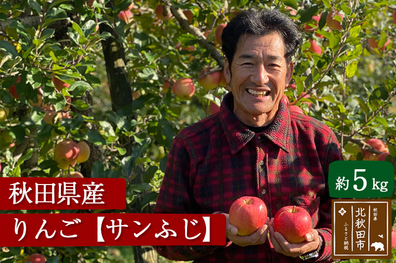 秋田県産 サンふじ りんご 約5kg （ご家庭用）リンゴ【12月中旬〜2月中旬に順次発送】