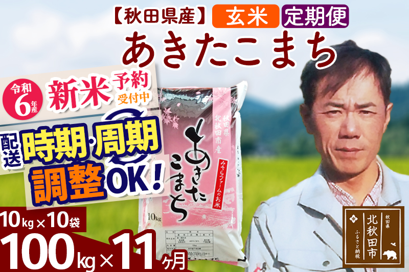 ※令和6年産 新米予約※《定期便11ヶ月》秋田県産 あきたこまち 100kg【玄米】(10kg袋) 2024年産 お届け時期選べる お届け周期調整可能 隔月に調整OK お米 みそらファーム