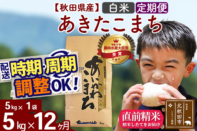 《定期便12ヶ月》 秋田県産あきたこまち5kg(5kg×1袋) 白米 [選べる配送時期] 令和4年産  あいかわこまち 米 お米 定期便