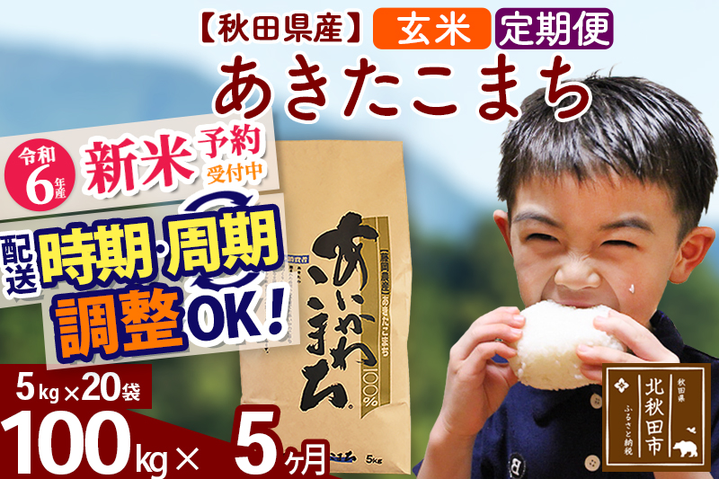 ※令和6年産 新米予約※《定期便5ヶ月》秋田県産 あきたこまち 100kg【玄米】(5kg小分け袋) 2024年産 お届け時期選べる お届け周期調整可能 隔月に調整OK お米 藤岡農産