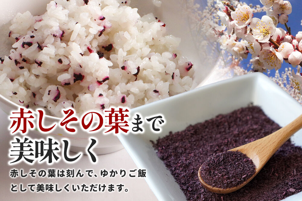  梅漬け（赤しそ入り） 200×4個 自家製 秋田県 北秋田阿仁産 [自家製 手作り 梅干し 梅漬け 漬け物]