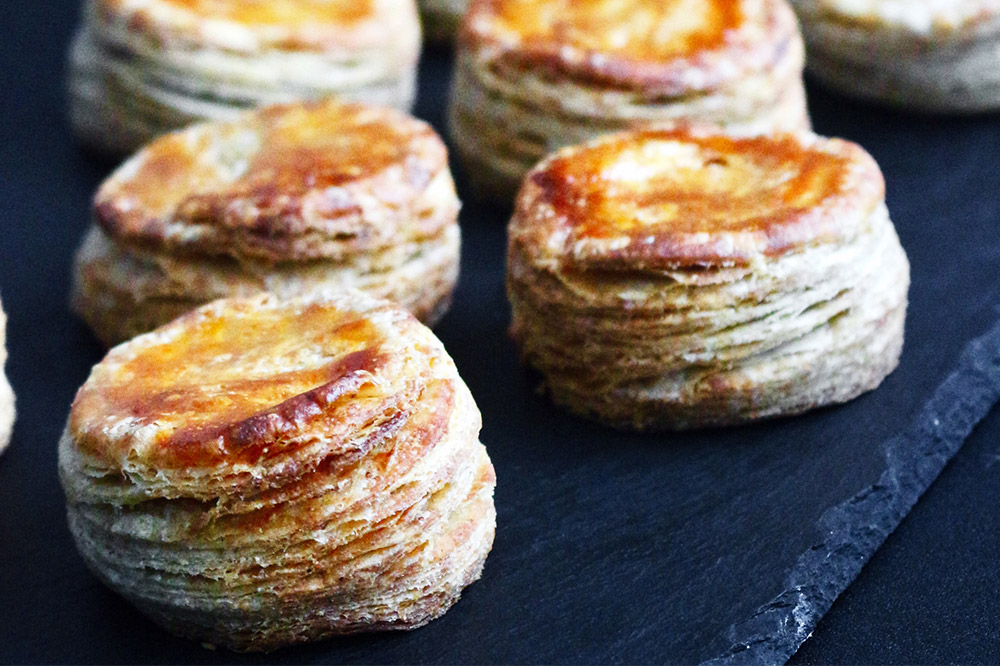 ãã€ã¹ã³ãŒã³ åœç£å°éºŠ å
šç²ç² 8å ã»ãã ïŒãããã±ããïŒ ããŒã«ãªãŒããã£ã