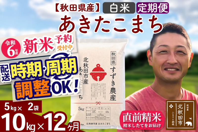 ※令和6年産 新米予約※《定期便12ヶ月》秋田県産 あきたこまち 10kg【白米】(5kg小分け袋) 2024年産 お届け時期選べる お届け周期調整可能 隔月に調整OK お米 すずき農産