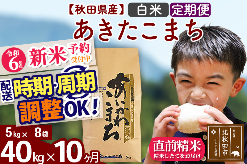 ※令和6年産 新米予約※《定期便10ヶ月》秋田県産 あきたこまち 40kg【白米】(5kg小分け袋) 2024年産 お届け時期選べる お届け周期調整可能 隔月に調整OK お米 藤岡農産