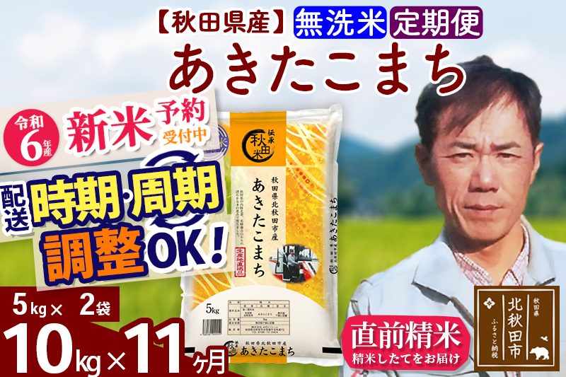 ※令和6年産 新米予約※《定期便11ヶ月》秋田県産 あきたこまち 10kg【無洗米】(5kg小分け袋) 2024年産 お届け時期選べる お届け周期調整可能 隔月に調整OK お米 みそらファーム