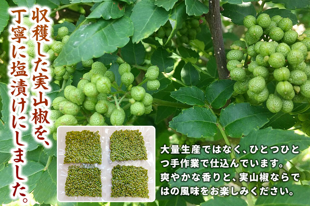 塩蔵実山椒 50g×4個 手作り  秋田県 北秋田阿仁産 [自家製 手作り]