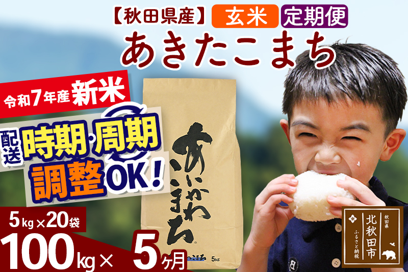 ※令和7年産 新米※《定期便5ヶ月》秋田県産 あきたこまち 100kg【玄米】(5kg小分け袋) 2025年産 お届け時期選べる お届け周期調整可能 隔月に調整OK お米 藤岡農産