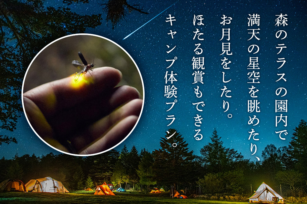 ãã£ã³ã 森ã®ãã©ã¹ ãã£ã³ãäœéšãã©ã³ 森å