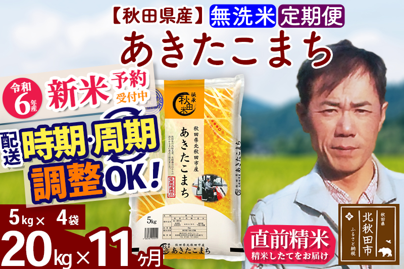 ※令和6年産 新米予約※《定期便11ヶ月》秋田県産 あきたこまち 20kg【無洗米】(5kg小分け袋) 2024年産 お届け時期選べる お届け周期調整可能 隔月に調整OK お米 みそらファーム