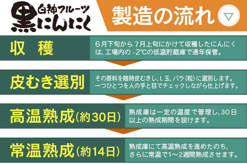 白神フルーツ黒にんにくセットＢ（Ｌ玉×6袋＆バラ粒 100g入×2袋）秋田県産 熟成 小分け 詰合せ 詰め合わせ 健康 美容 黒ニンニク