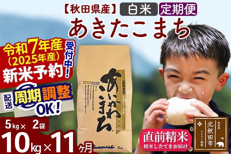 ※令和7年産 新米予約※《定期便11ヶ月》秋田県産 あきたこまち 10kg【白米】(5kg小分け袋) 2025年産 お届け周期調整可能 隔月に調整OK お米 藤岡農産