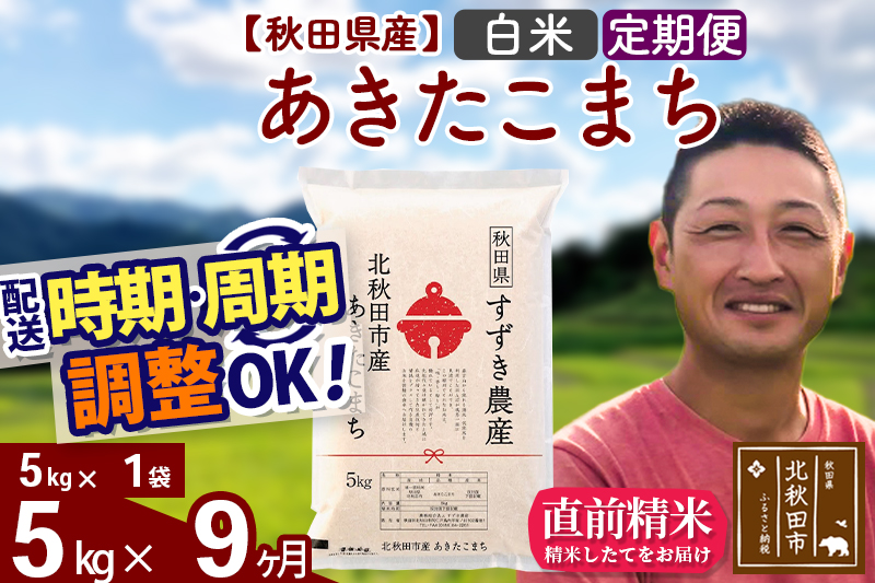 ※令和7年産※《定期便9ヶ月》秋田県産 あきたこまち 5kg【白米】(5kg小分け袋) 2025年産 お届け時期選べる お届け周期調整可能 隔月に調整OK お米 すずき農産