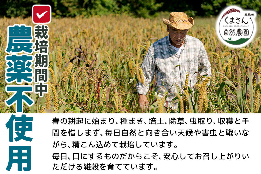 雑穀 あわ 計600g（200g×3袋） 農薬不使用 無農薬 ご飯に混ぜて炊くだけ 国産 国内産