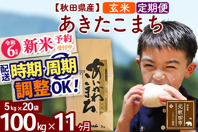 ※令和6年産 新米予約※《定期便11ヶ月》秋田県産 あきたこまち 100kg【玄米】(5kg小分け袋) 2024年産 お届け時期選べる お届け周期調整可能 隔月に調整OK お米 藤岡農産