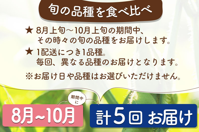 《定期便５回》旬の枝豆1kg食べ比べ定期便（1品種×5回）冷蔵 生でお届け えだ豆 レンジでチン おつまみ