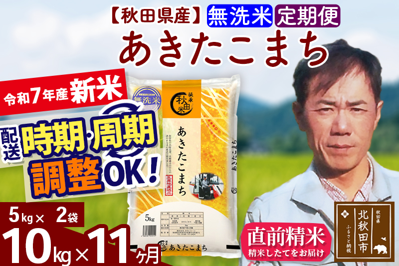 ※令和7年産 新米※《定期便11ヶ月》秋田県産 あきたこまち 10kg【無洗米】(5kg小分け袋)  2025年産 お届け時期選べる お届け周期調整可能 隔月に調整OK お米 みそらファーム